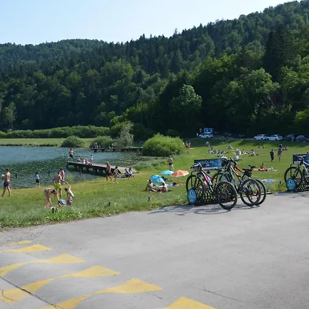 Ljubljana Marsh Nature Park
