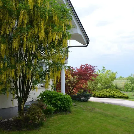 Ljubljana Marsh Nature Park Brest