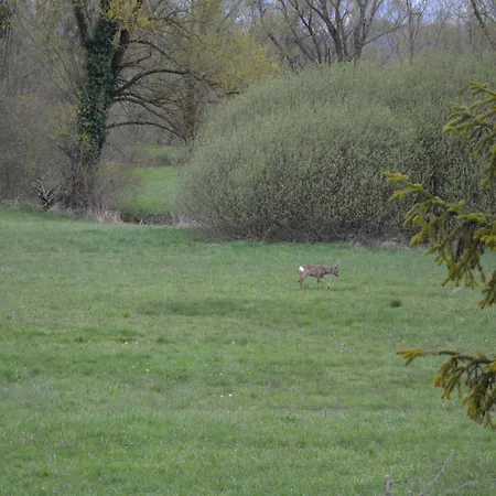 Ljubljana Marsh Nature Park アパート *