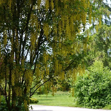 Ljubljana Marsh Nature Park Daire Brest