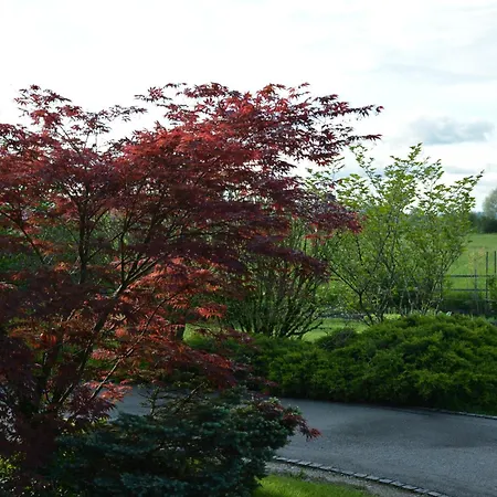 Ljubljana Marsh Nature Park *