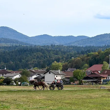 Ljubljana Marsh Nature Park *