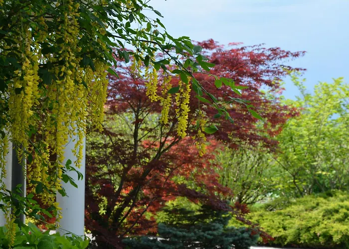 Ljubljana Marsh Nature Park
