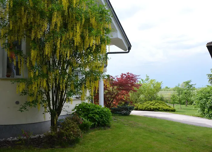 Ljubljana Marsh Nature Park Brest