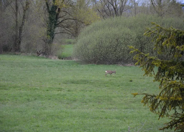 Ljubljana Marsh Nature Park Apartman *