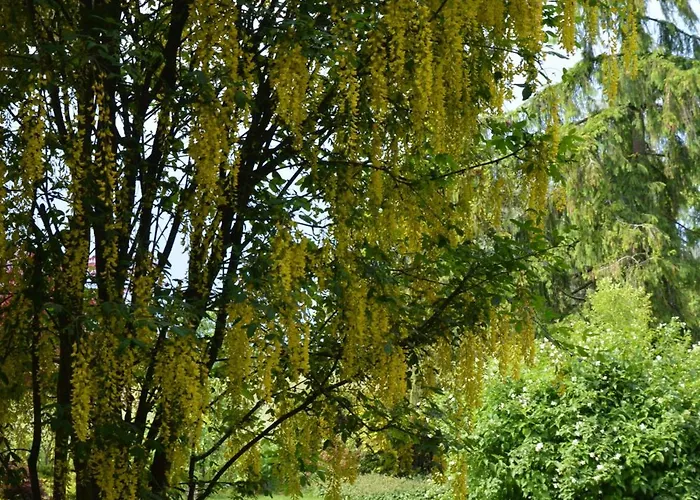 Ljubljana Marsh Nature Park Apartman Brest