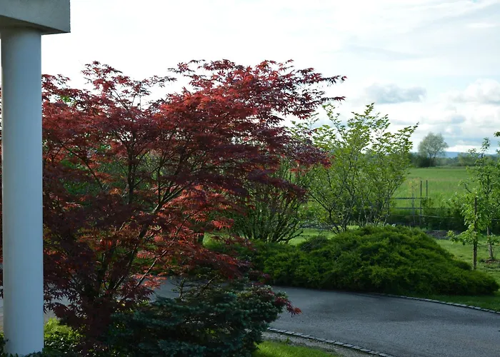 Ljubljana Marsh Nature Park *