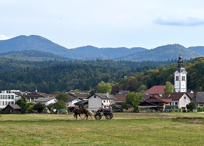 Ljubljana Marsh Nature Park *